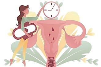 NUTRICIÓN EN LA MENOPAUSIA: CLAVES PARA EL EQUILIBRIO METABÓLICO Y LA SALUD ÓPTIMA